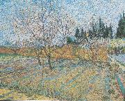 Vincent Van Gogh Flowering orchard with peach-trees painting